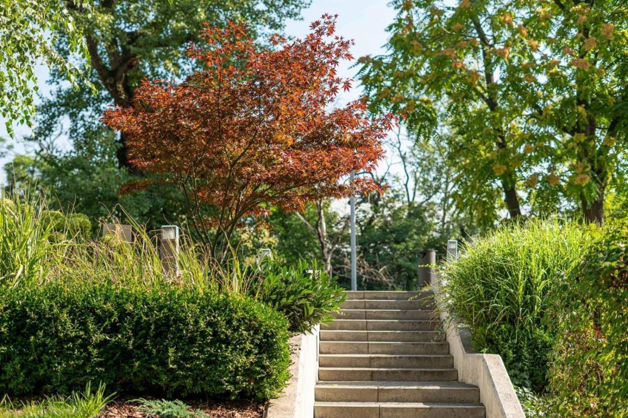 Apartament typu studio